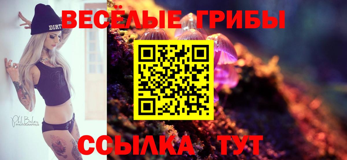 Кунгур  Галлюциногенные грибы Psilocybe  Вход с VPN 